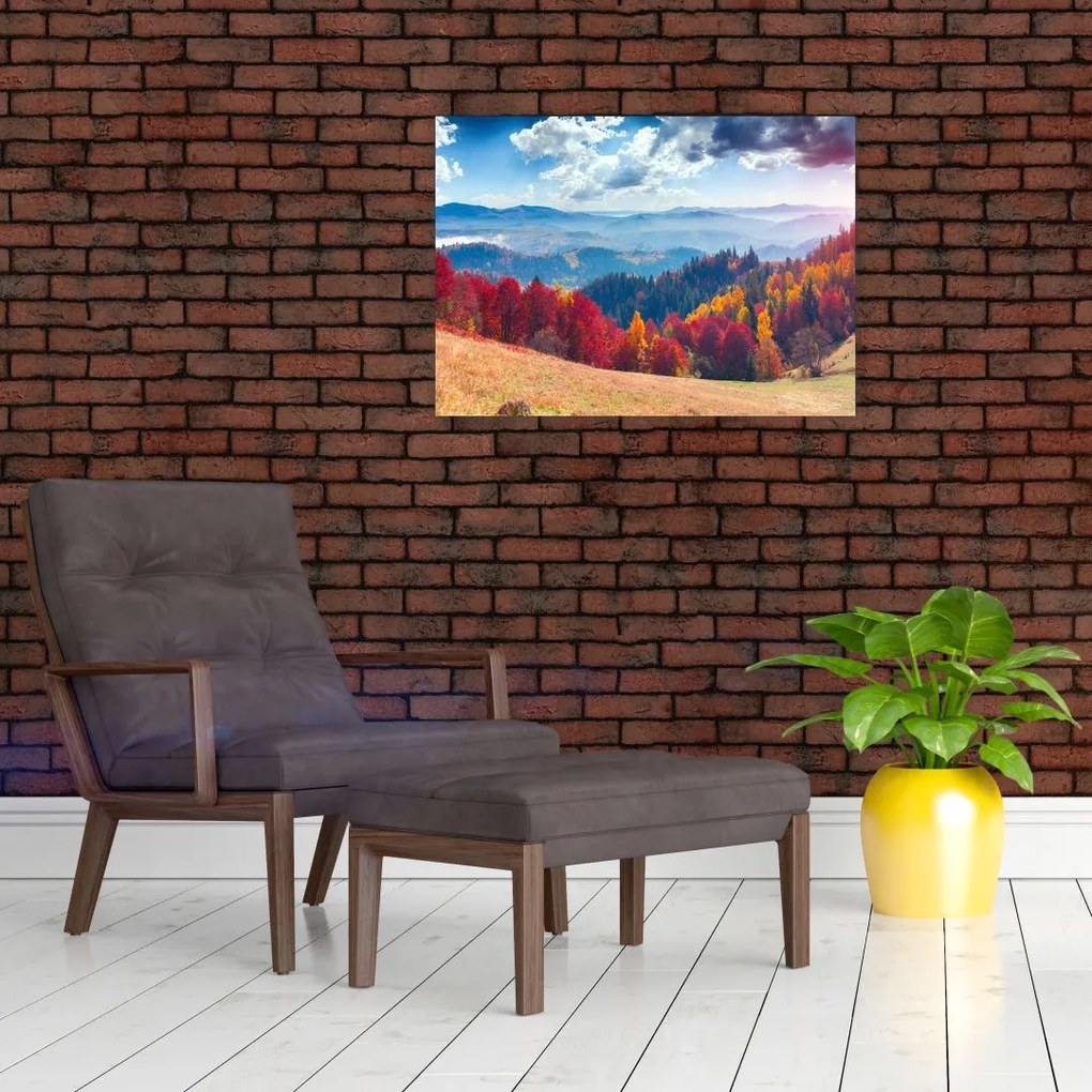 Obraz farebné jesenné krajiny (70x50 cm)