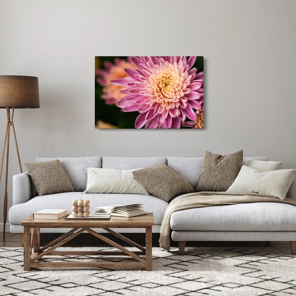 Detailný obraz kvetu (90x60 cm)