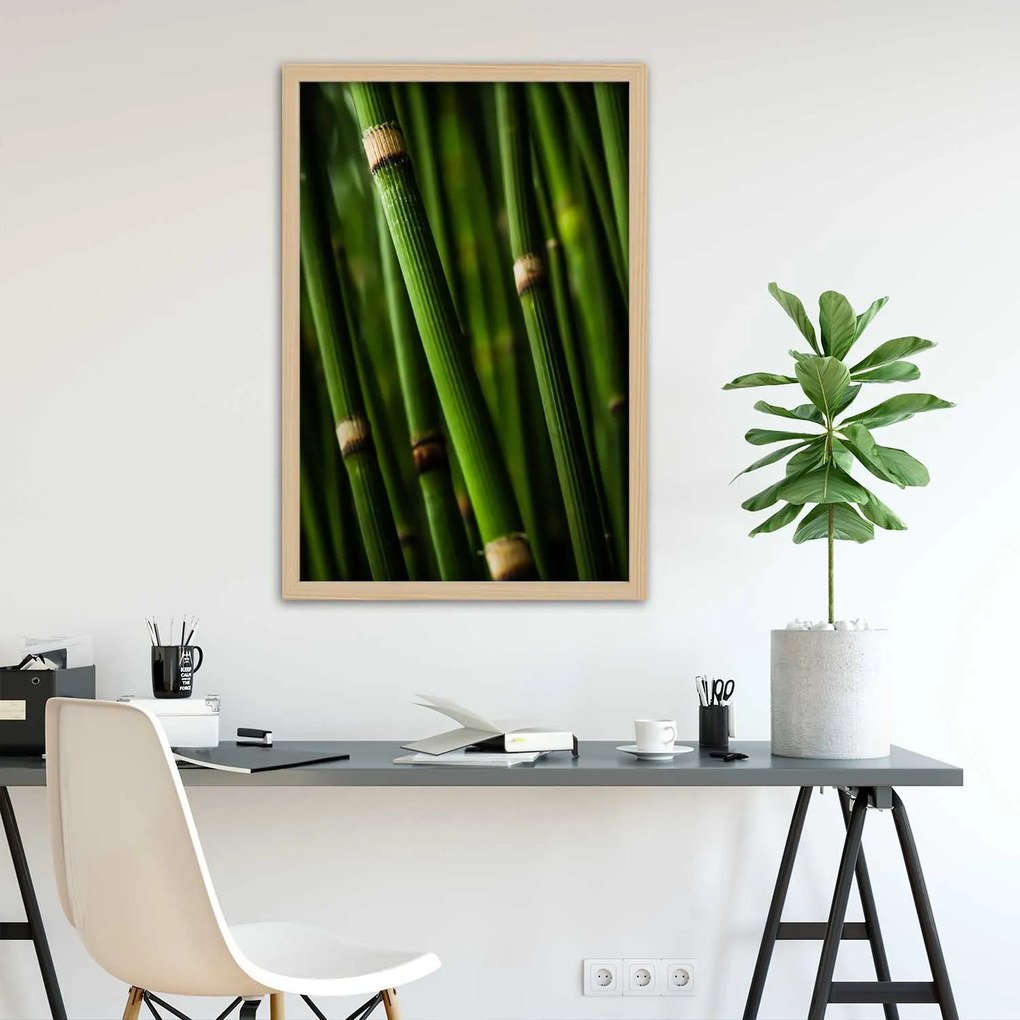 Gario Plagát Bambusový les Farba rámu: Bez rámu, Rozmery: 40 x 60 cm