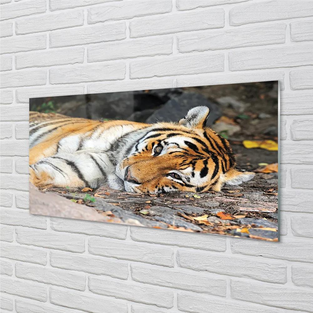 Obraz na akrylátovom skle Ležiace tiger 125x50 cm