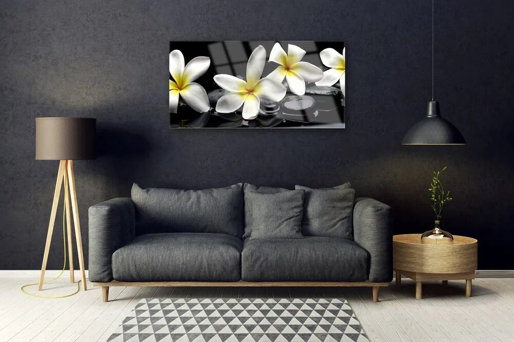 Skleneny obraz Kamene kvety kúpele 100x50 cm