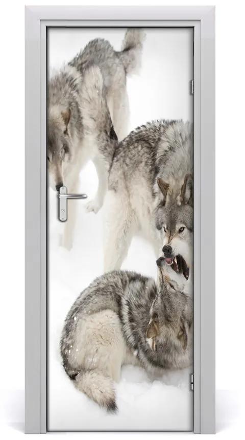 Samolepiace fototapety na dvere šedí vlci 95x205 cm