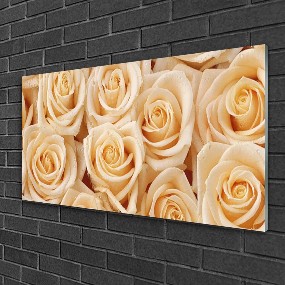 Obraz na skle Ruže kvety rastlina 100x50 cm