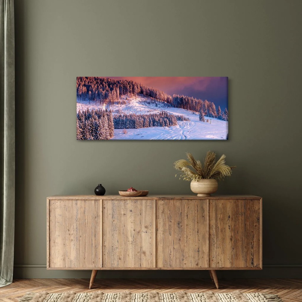Obraz zimnej krajiny (120x50 cm)