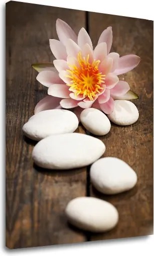 Obraz na plátne FENG SHUI_059-11