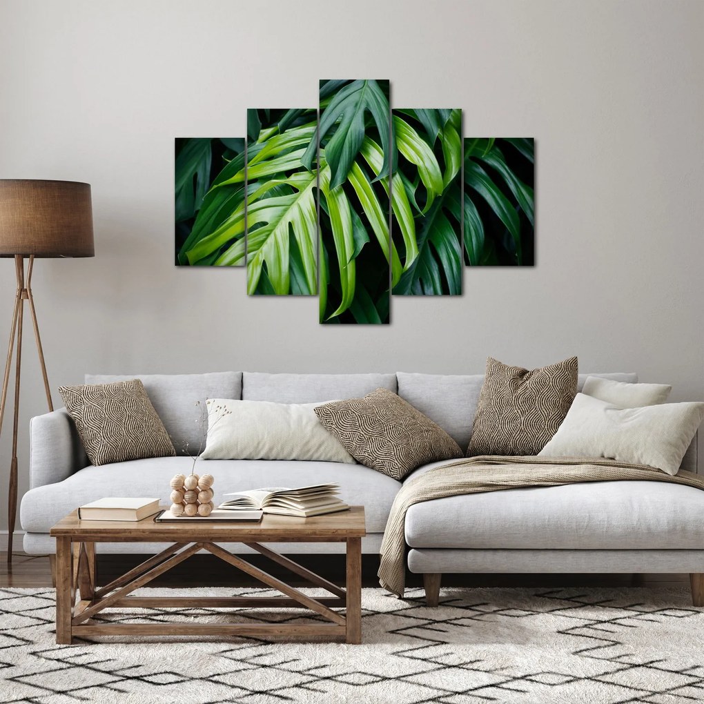 Obraz - Tropické listy (150x105 cm)