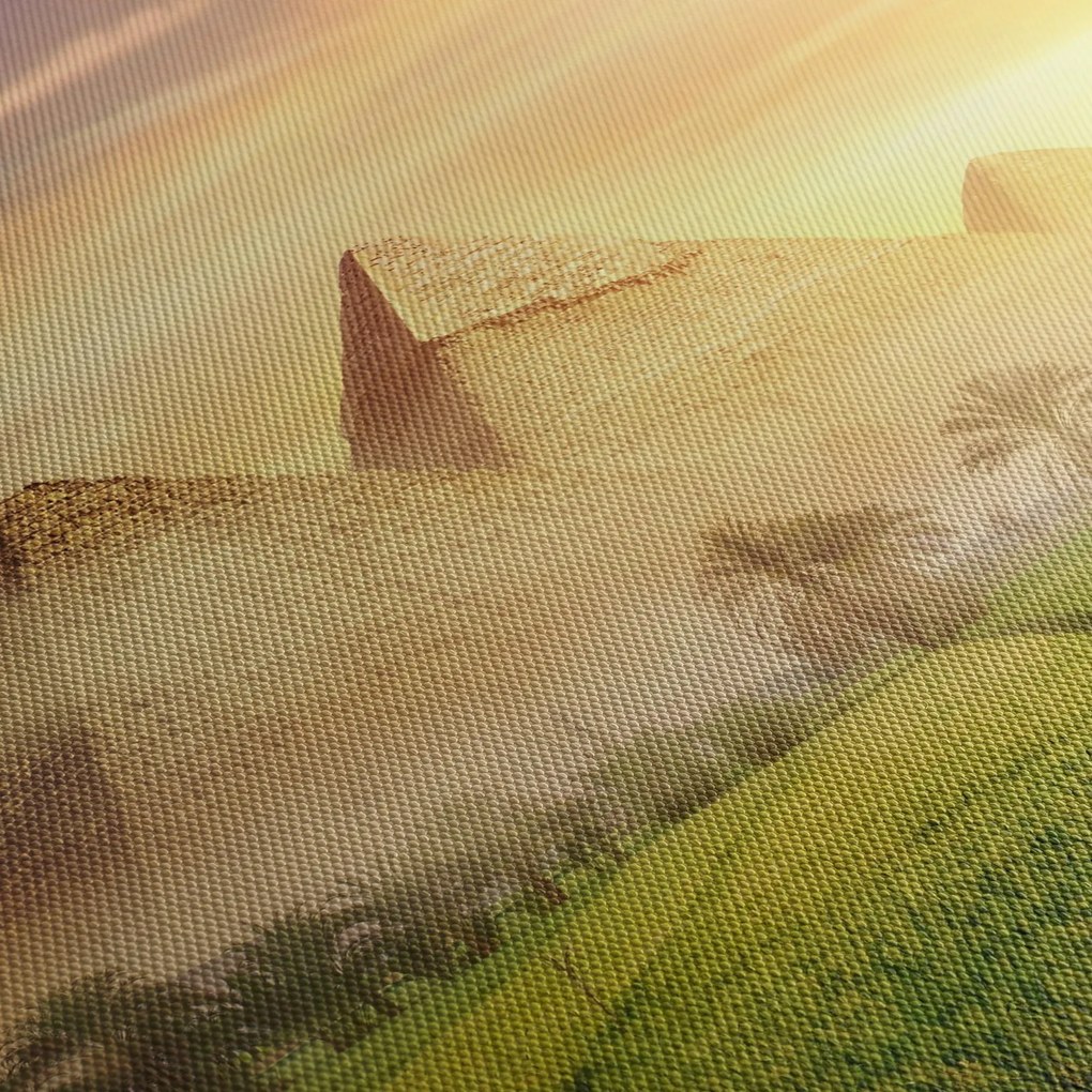 Obraz - Pyramídy (90x60 cm)