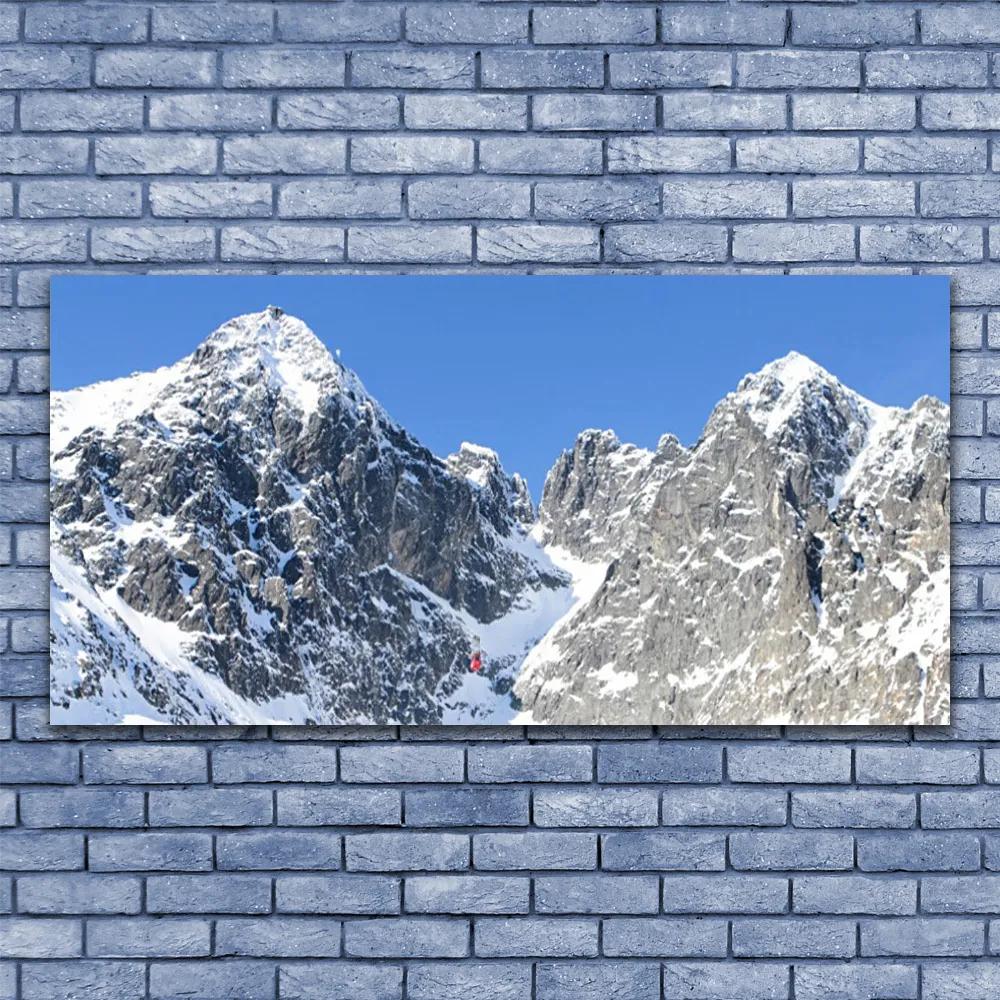Obraz plexi Hora sneh príroda 120x60 cm