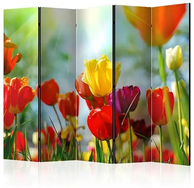 Paraván - Spring Tulips II [Room Dividers] Veľkosť: 225x172, Verzia: Akustický