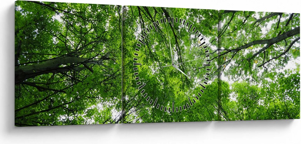 Obraz - Pohľad do korún stromov (s hodinami) (90x30 cm)