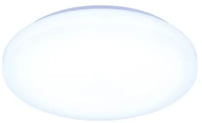 LED Stmievateľné stropné svietidlo s hlasovým ovládaním OPAL LED/48W/230V + DO