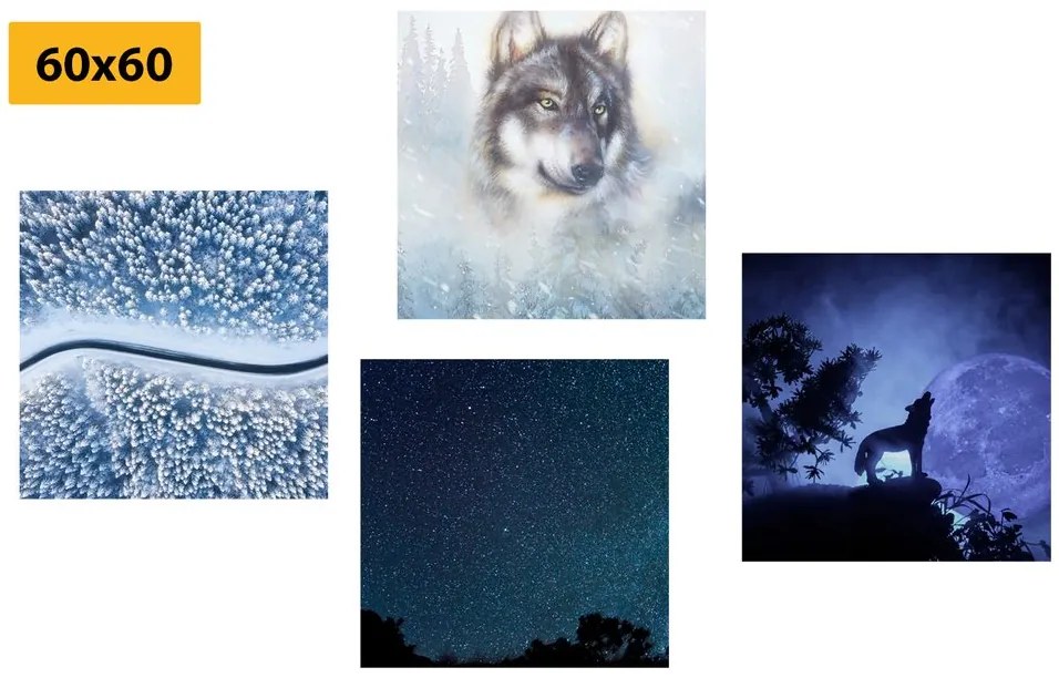 Set obrazov samotársky vlk Varianta: 4x 40x40