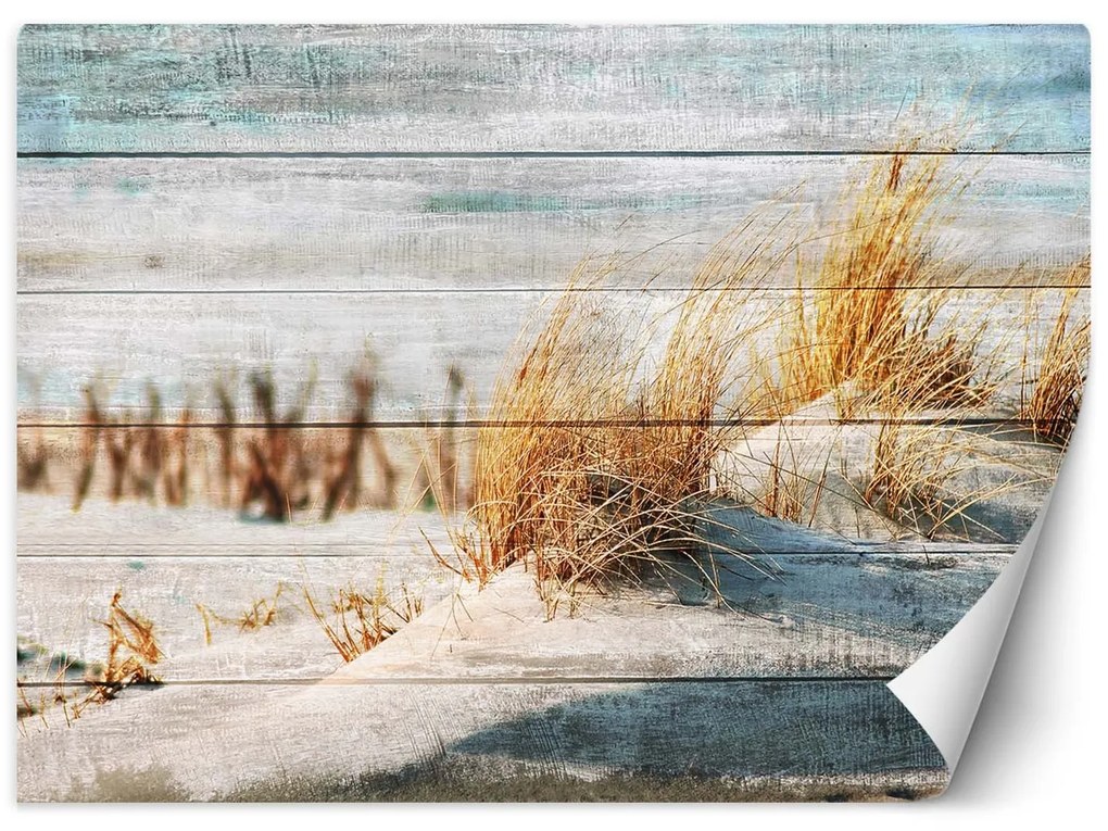Gario Fototapeta Plážové duny na dreve Materiál: Vliesová, Rozmery: 350 x 245 cm