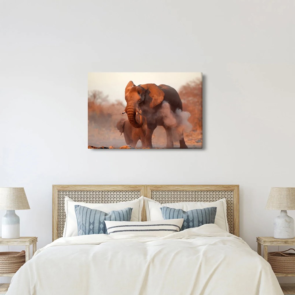Obraz - Veľký slon africký (90x60 cm)
