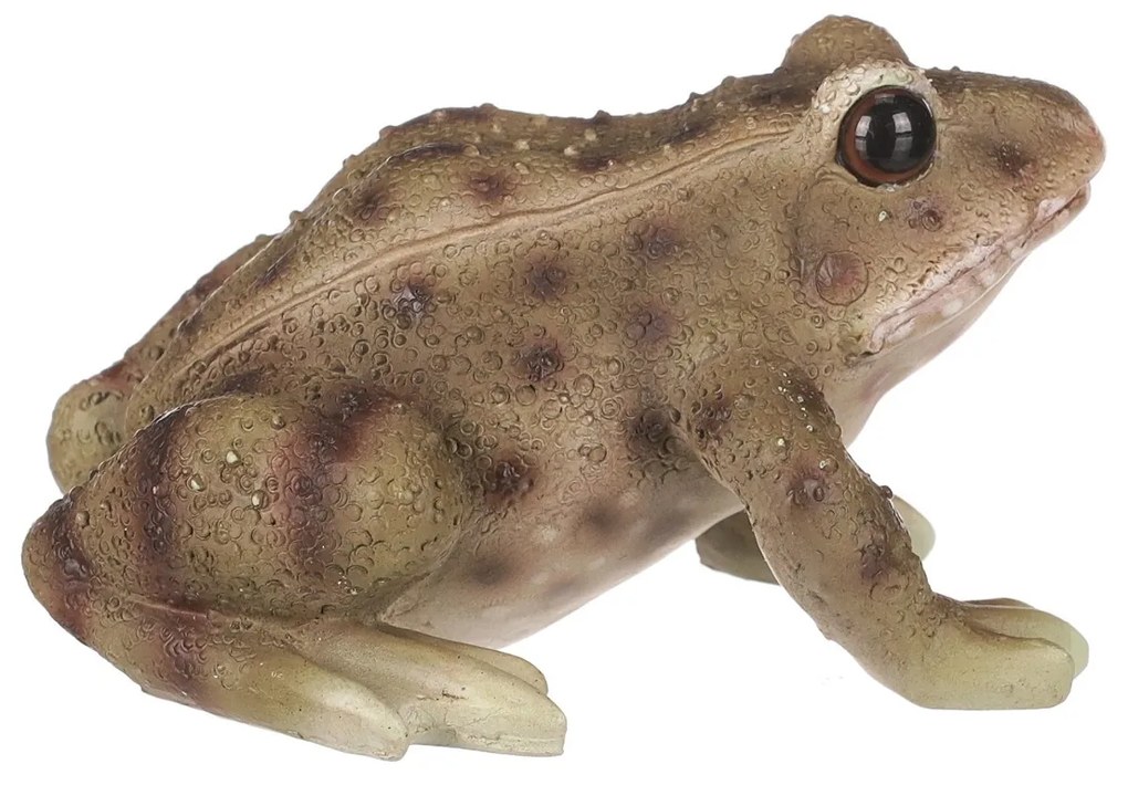 Záhradná dekorácia Žaba, 10 x 6 x 8 cm, polyresin