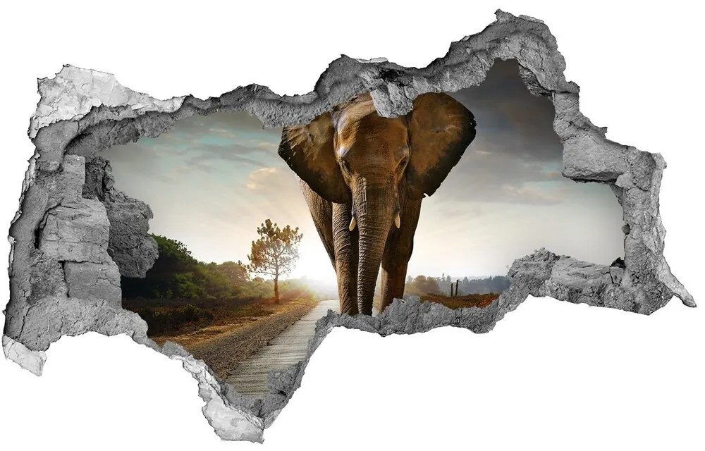 Diera 3D fototapeta na stenu Walking slon nd-b-25742331