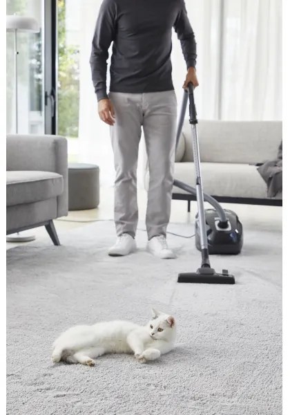 Rowenta - Sáčkový vysávač ZELENÁ FORCE EFFITECH ECO TOTAL CLEAN 400W/230V čierna