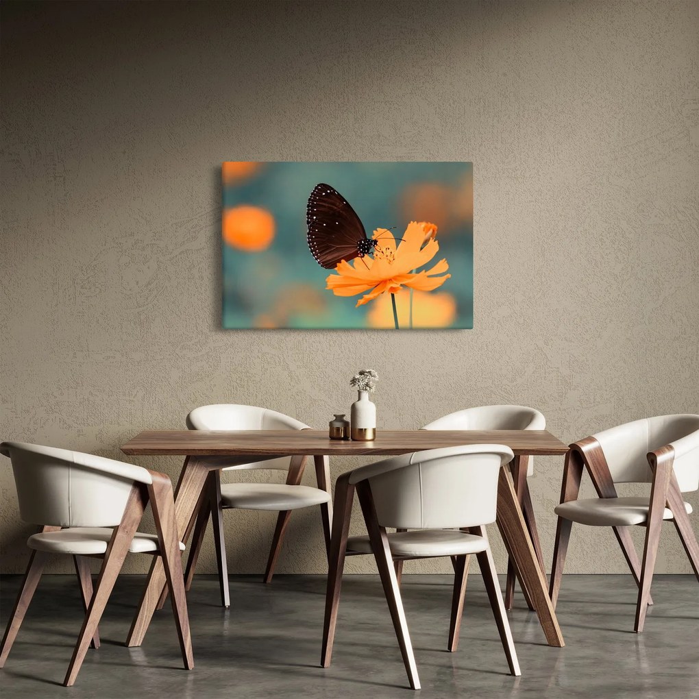 Obraz - motýľ na oranžovom kvete (90x60 cm)