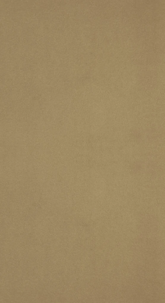 ZATEMŇOVACÍ ZÁVES NA KRÚŽKOCH ANTARA 140X270 CM TMAVOBÉŽOVÁ