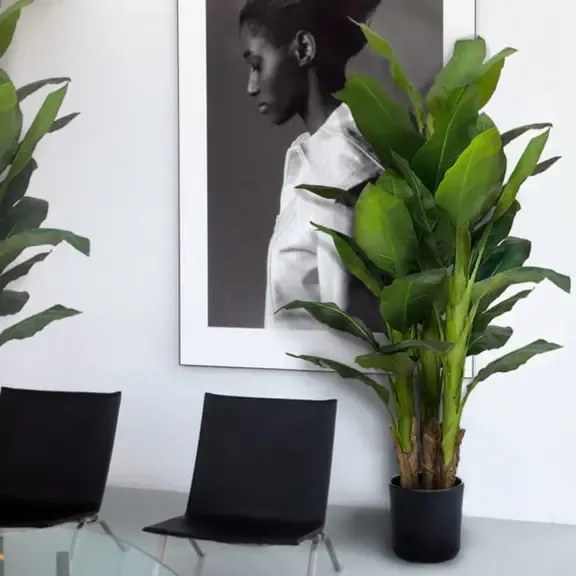 Artificial plant Bananowiec 160cm