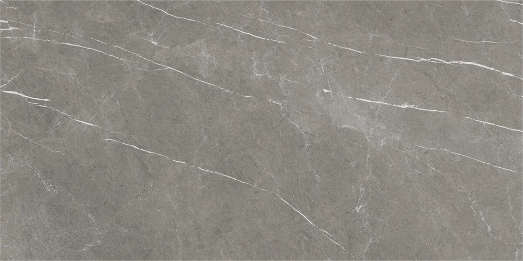 Dlažba Eternal Dark Natural 60x120 R