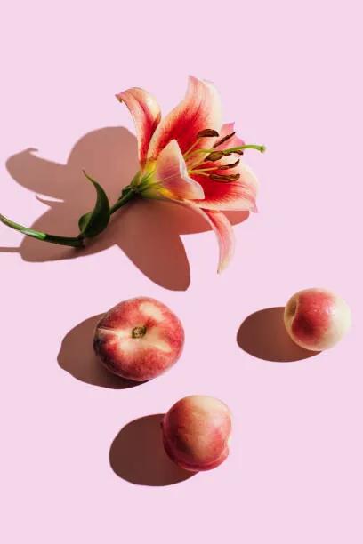 Umelecká fotografie Lily flower and peaches on pink, Tanja Ivanova, (26.7 x 40 cm)