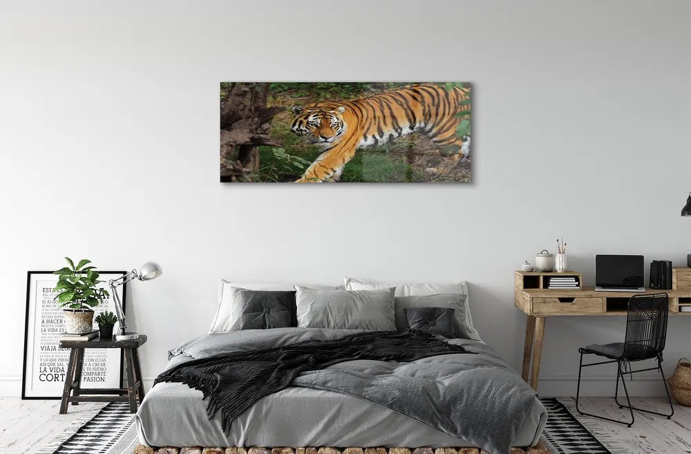 Obraz na akrylátovom skle Tiger woods 120x60 cm