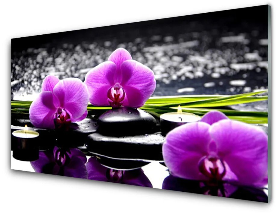 Obraz na skle Kvet kamene rastlina 140x70 cm