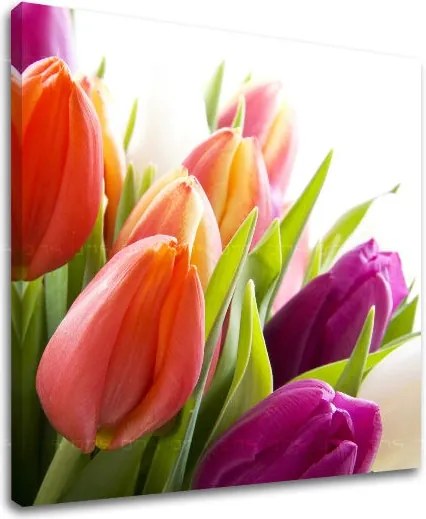 Obraz na stenu KVETY XOBKV138E12 - 70x70 cm