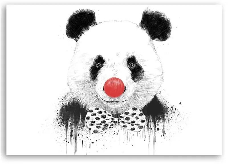 Gario Obraz na plátne Panda s klaunským nosom - Rykker Rozmery: 60 x 40 cm