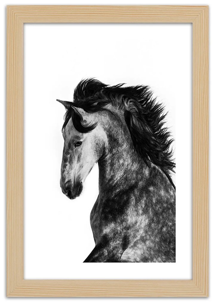 Gario Plagát Divoký orol Farba rámu: Bez rámu, Rozmery: 30 x 45 cm