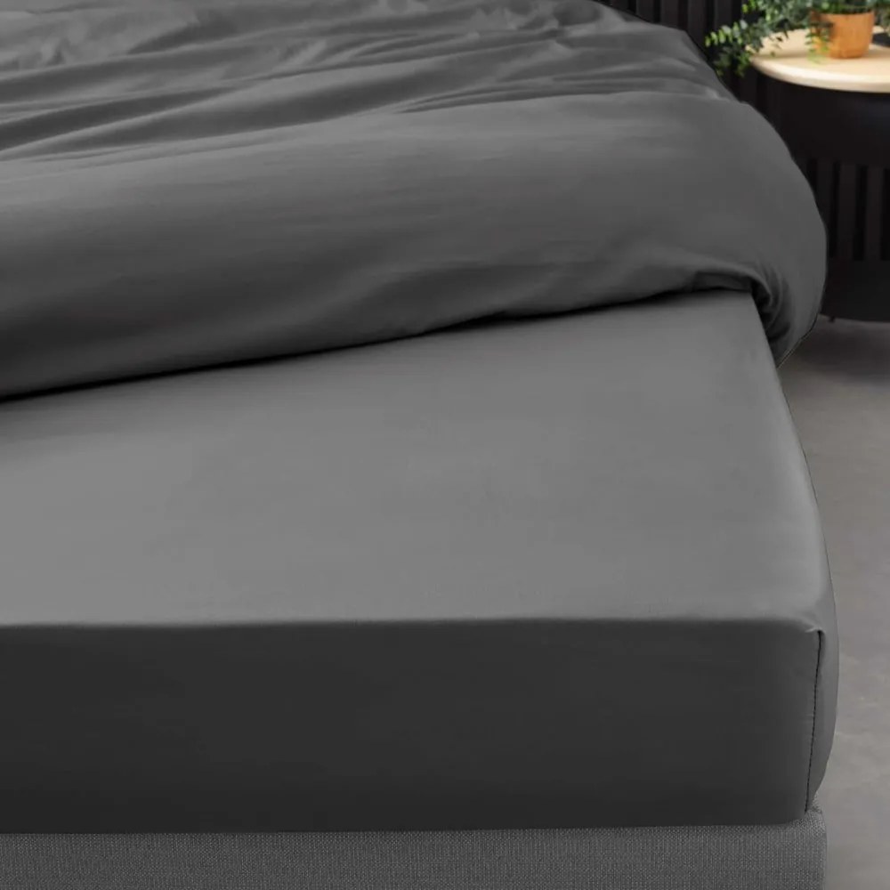 Antracitová napínacia plachta z bavlneného perkálu 140x190 cm Percaline – douceur d'intérieur