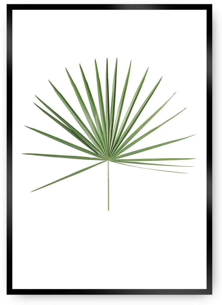 Plagát Tropical Leaf Green