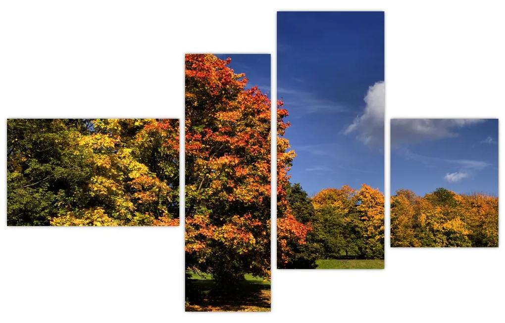 Jesenné stromy - moderný obraz