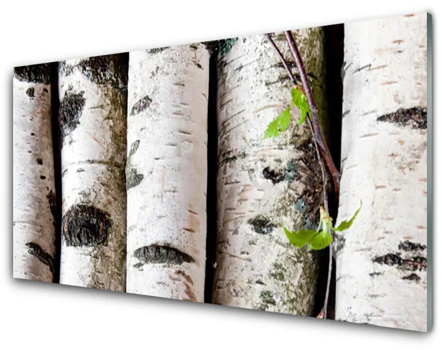 Nástenný panel  Stromy príroda 120x60 cm