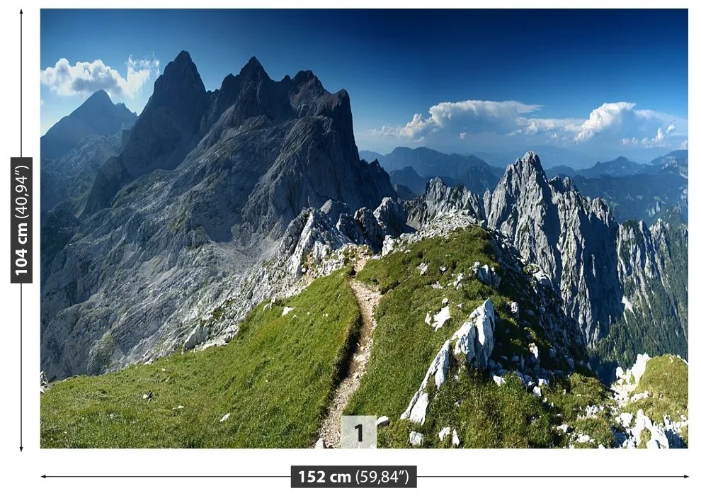 Fototapeta Vliesová Alpy slovinsko 208x146 cm