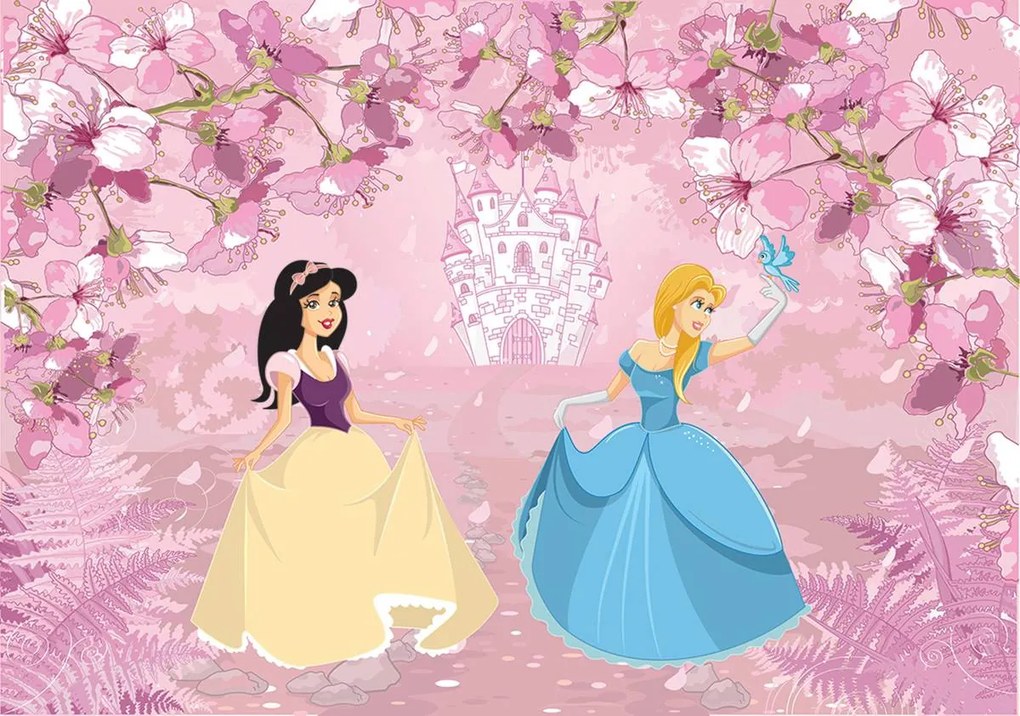 Fototapeta - Princezné (152,5x104 cm)