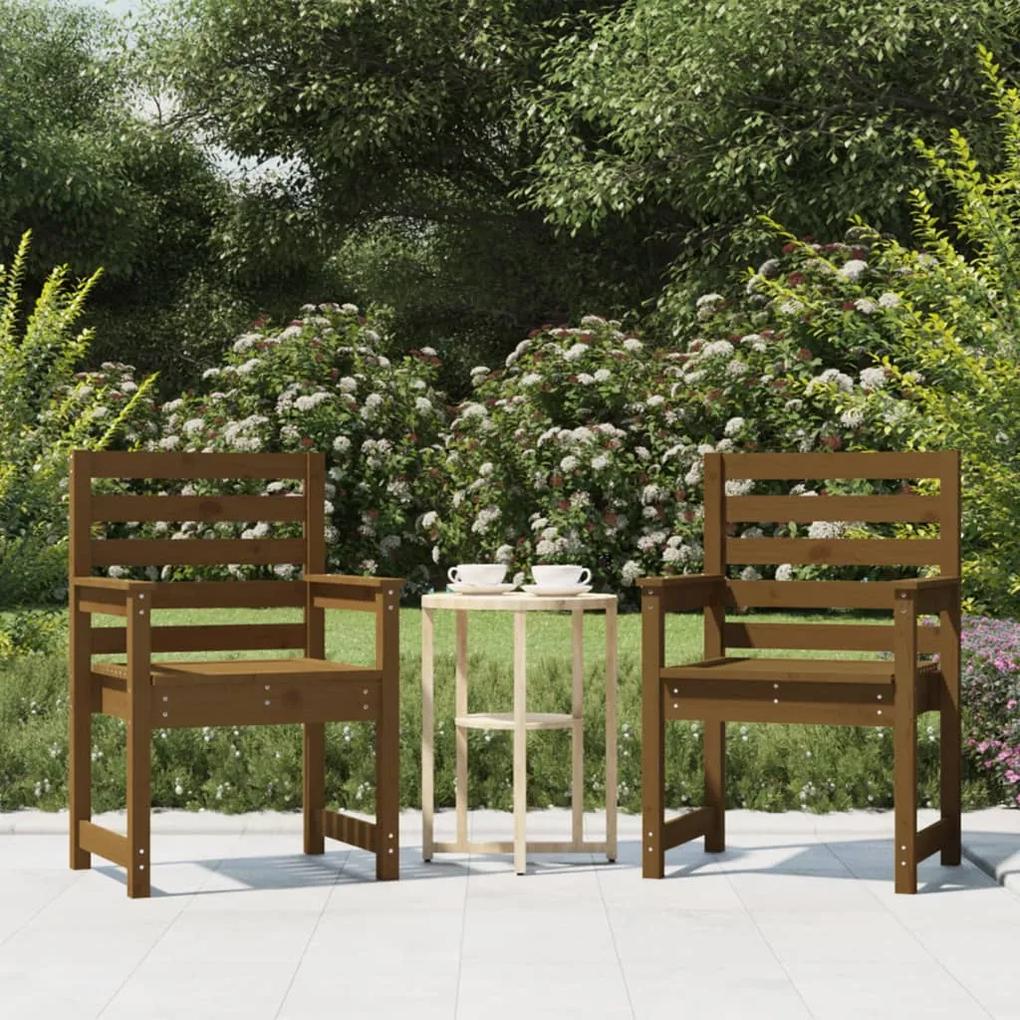 Záhradné stoličky 2 ks medovohnedý 60x48x91 cm borovicový masív 824056