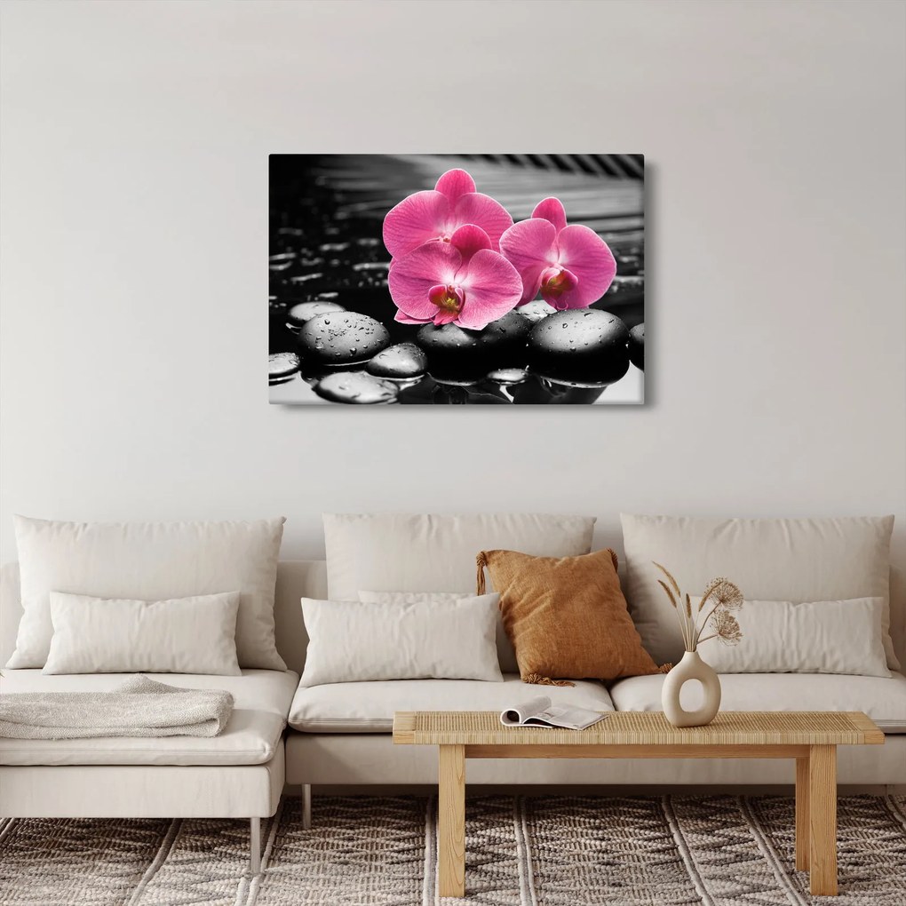 Obraz - Ružové orchidey (90x60 cm)