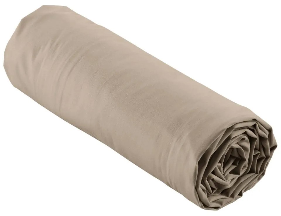 Svetlohnedá napínacia plachta z bavlneného perkálu 180x200 cm Percaline – douceur d'intérieur