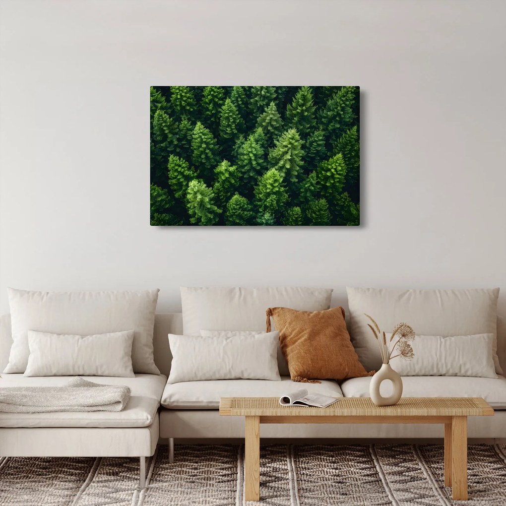 Obraz - Les (90x60 cm)