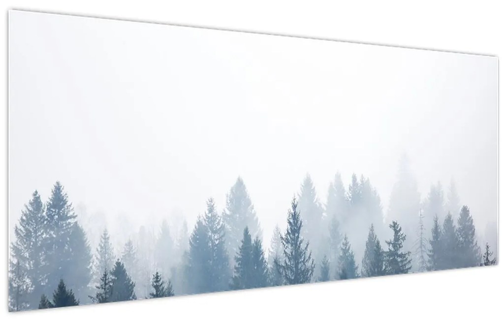 Obraz - Zahmlený les (120x50 cm)