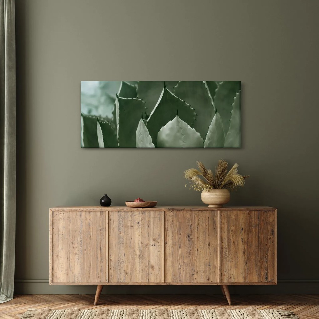 Obraz - Zelená agáve (120x50 cm)