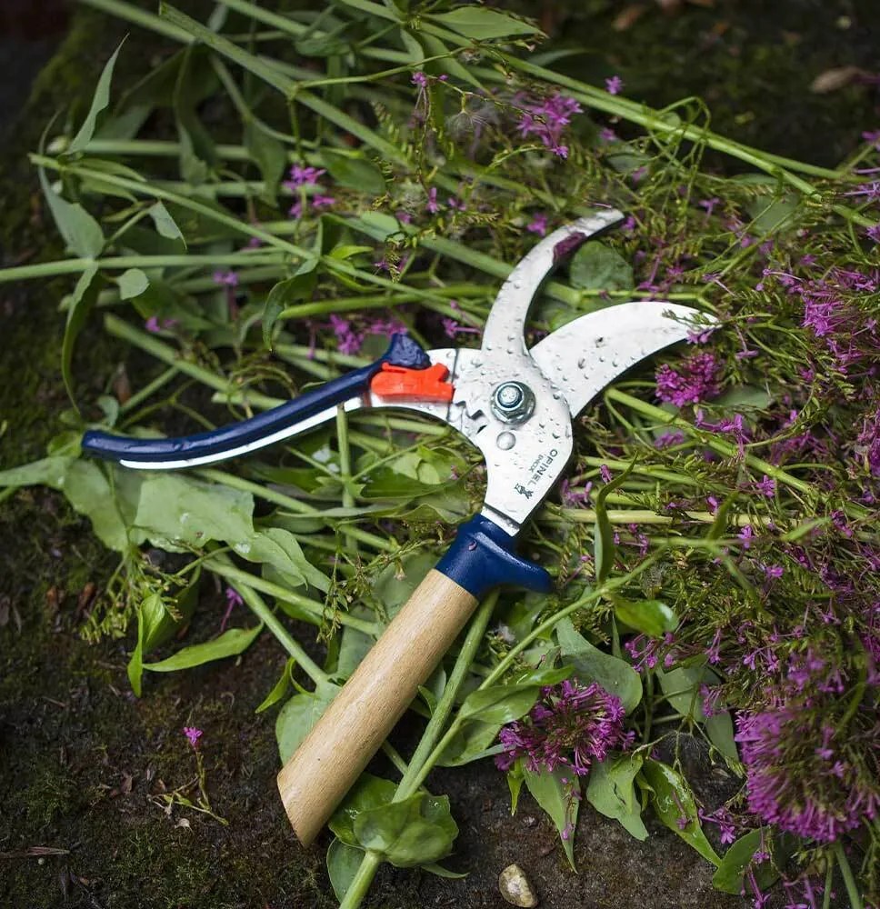 Záhradné nožnice Opinel, modré, 001627
