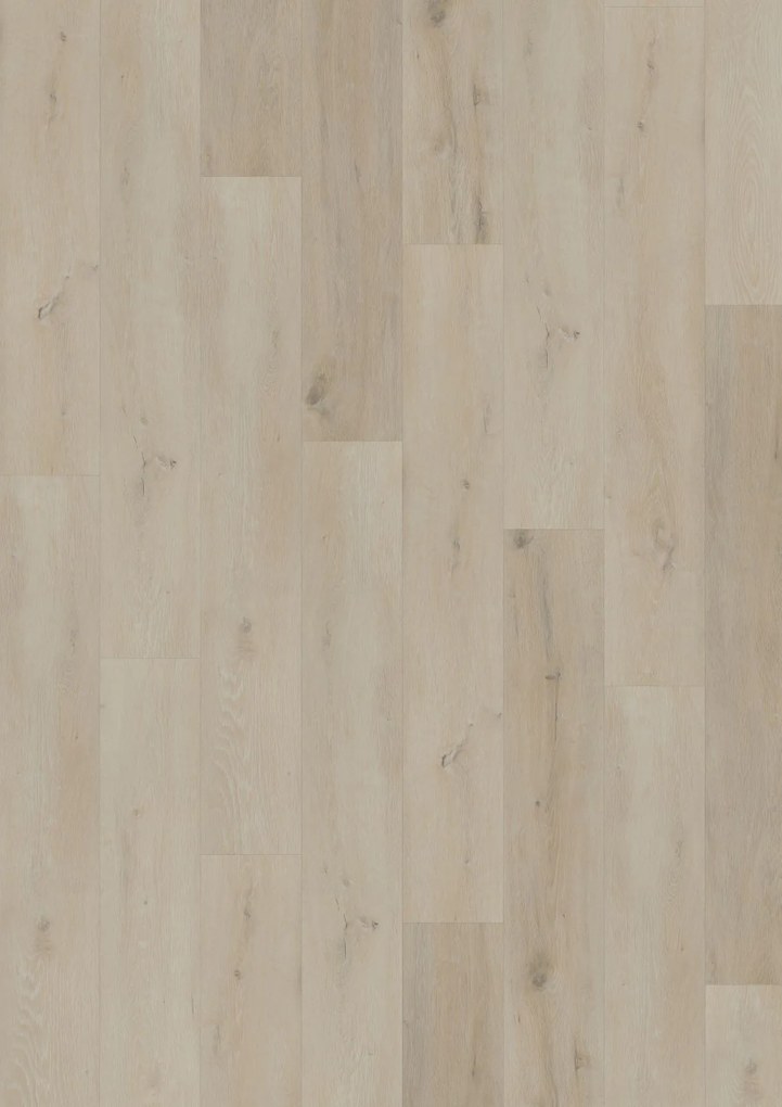 Vinylová podlaha lepená ECO 55 057 Prestige Oak White, 1219,2 x 184,1 mm, Oneflor