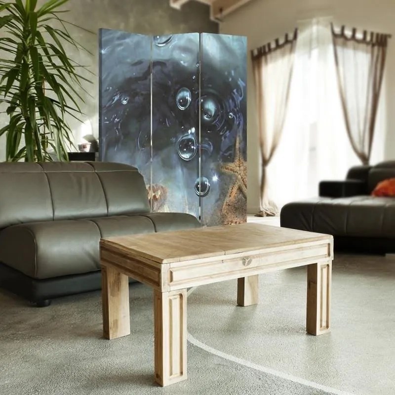 Gario Paraván Hviezdica Rozmery: 110 x 170 cm, Prevedenie: Klasický paraván