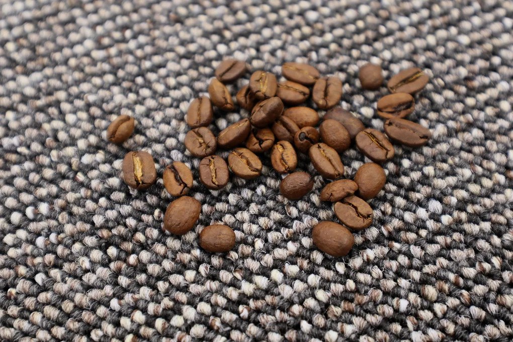 Timzo, Kusový koberec Neapol 4719 kruh, 400x400 (priemer) kruh, hnedá, chodba / predsieň