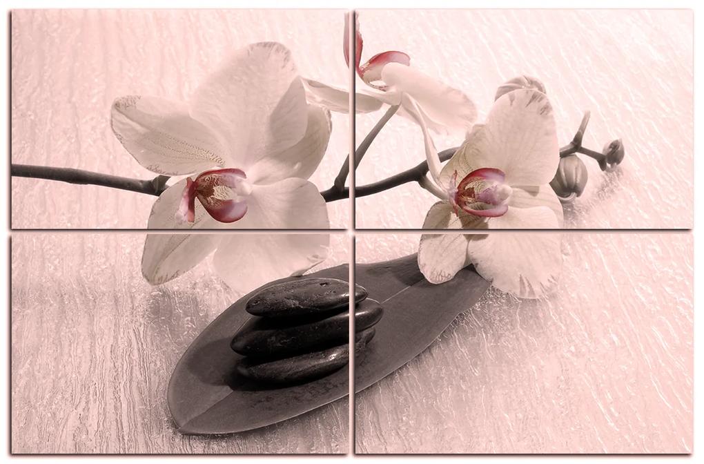 Obraz na plátne - Kvety orchidei 162FC (90x60 cm)