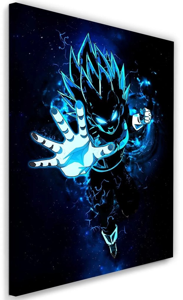 Gario Obraz na plátne Dragon Ball Vegeta modrá - SyanArt Rozmery: 40 x 60 cm