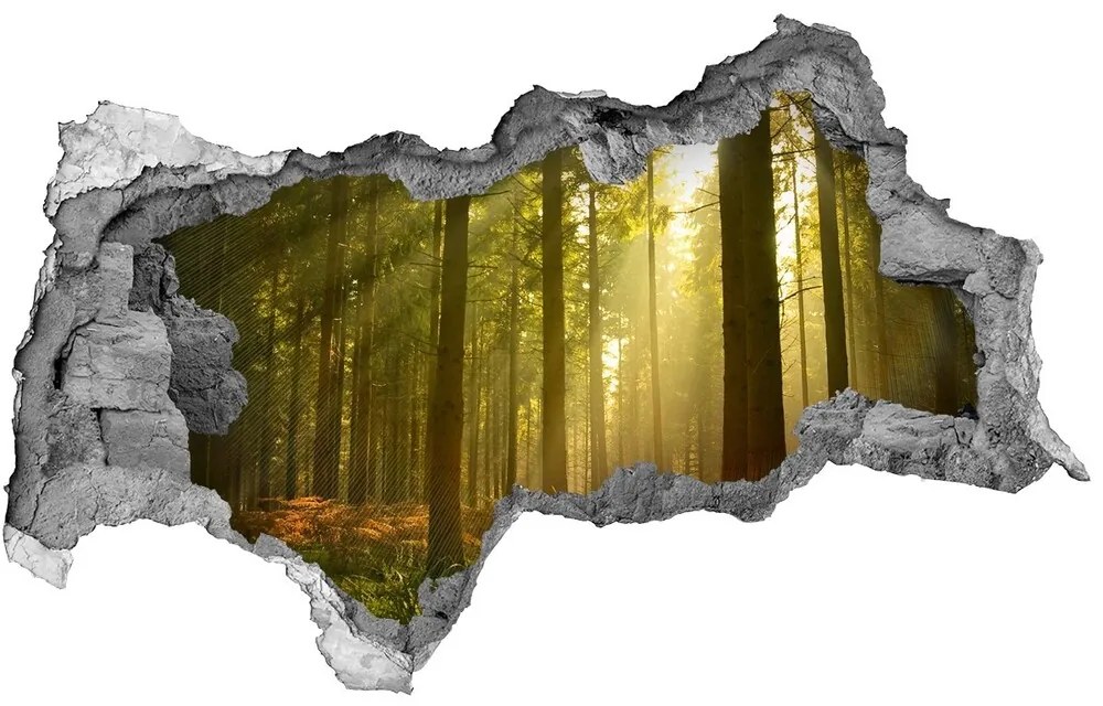 Diera 3D v stene nálepka Forest na slnku nd-b-27621934